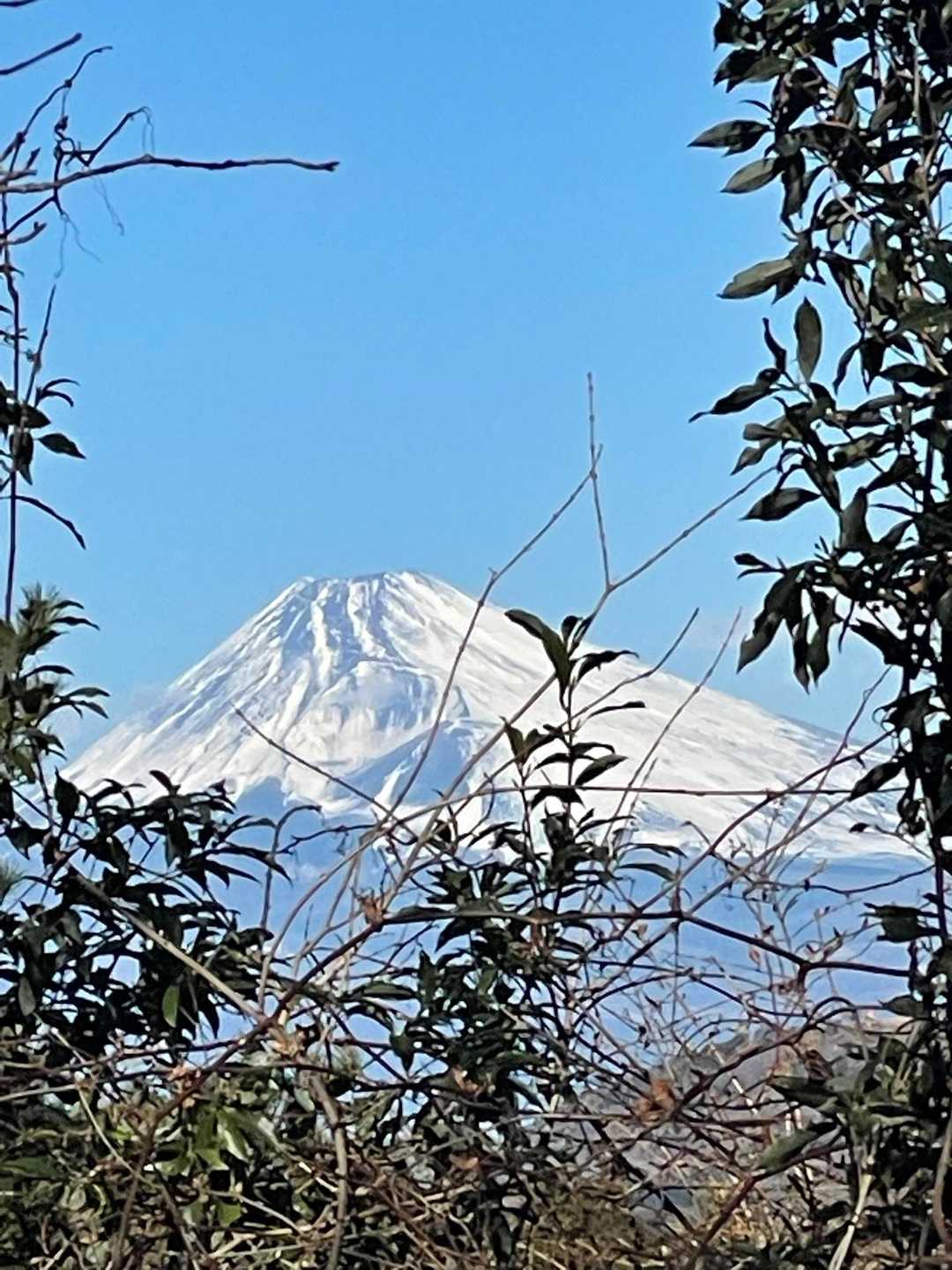 大平山 往復コースの写真