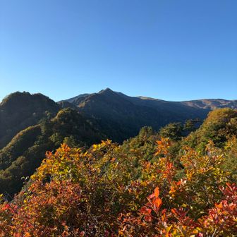 美しい紅葉