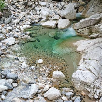 山奥深くって沢の水がホント綺麗よね。