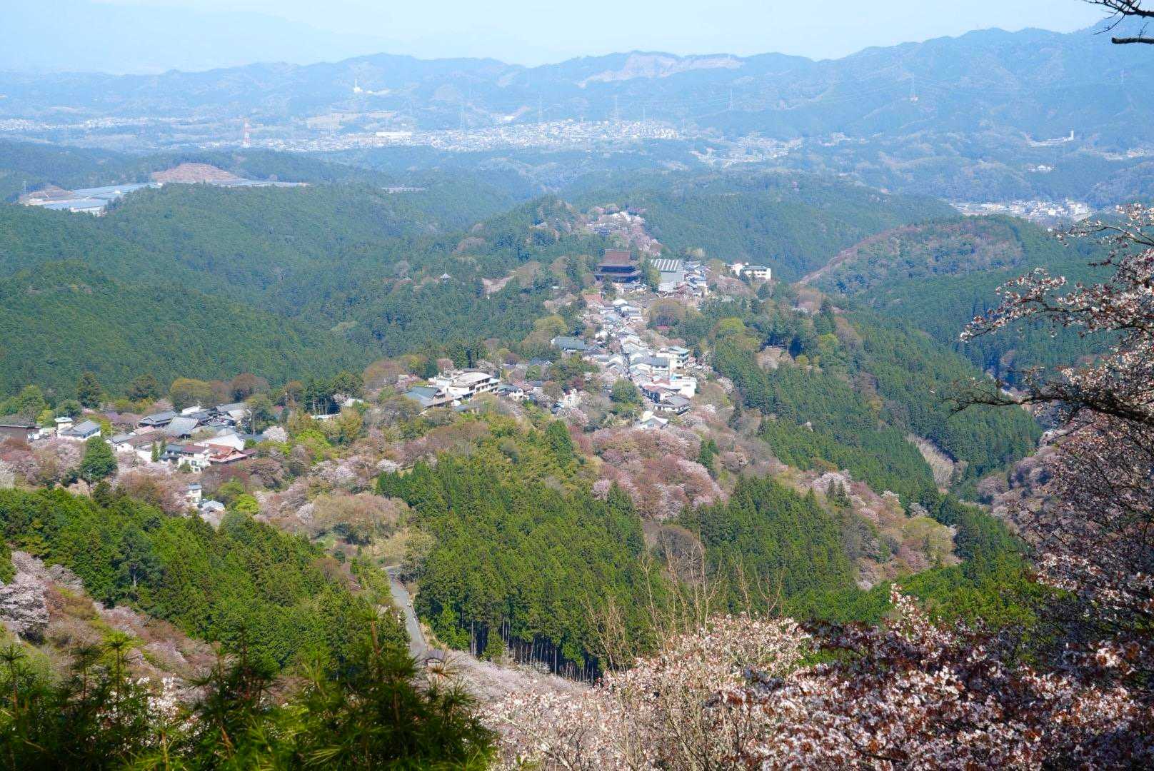 絶景❗️綺麗❗️🌸😃👍