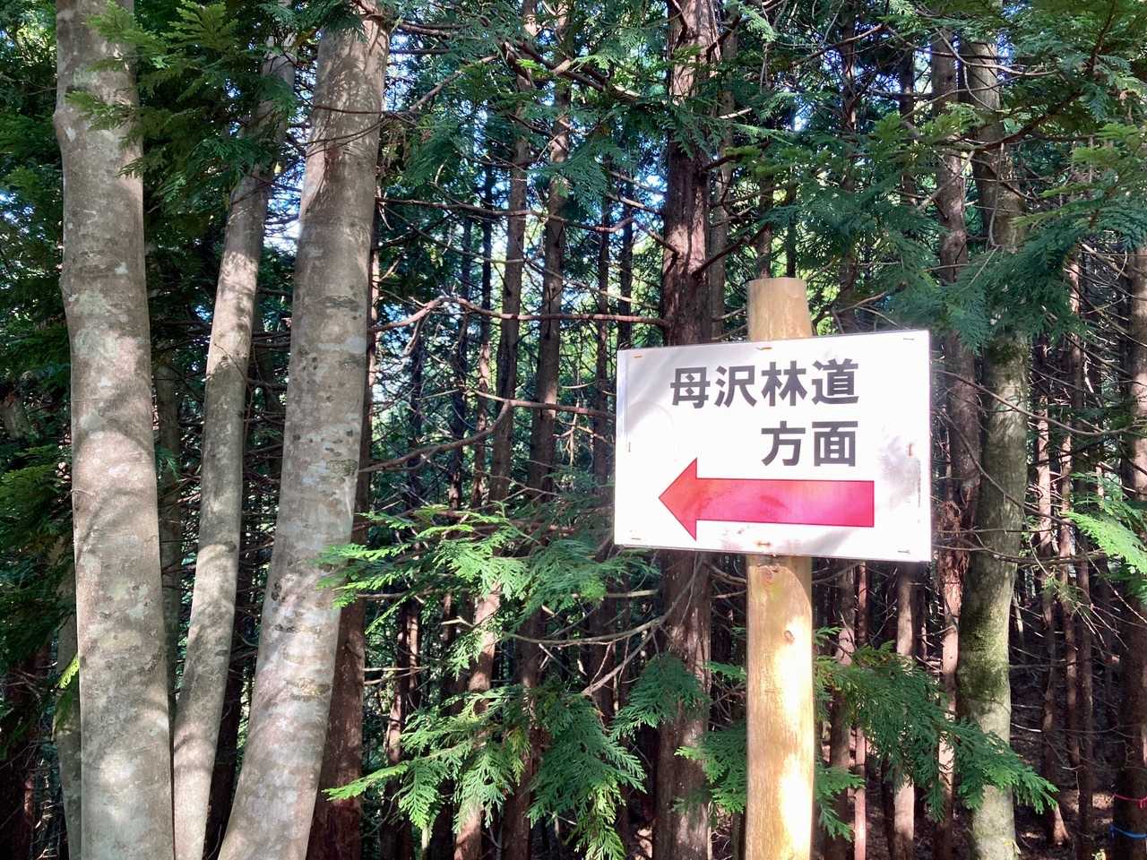 今回はこっちに行ってみたい。