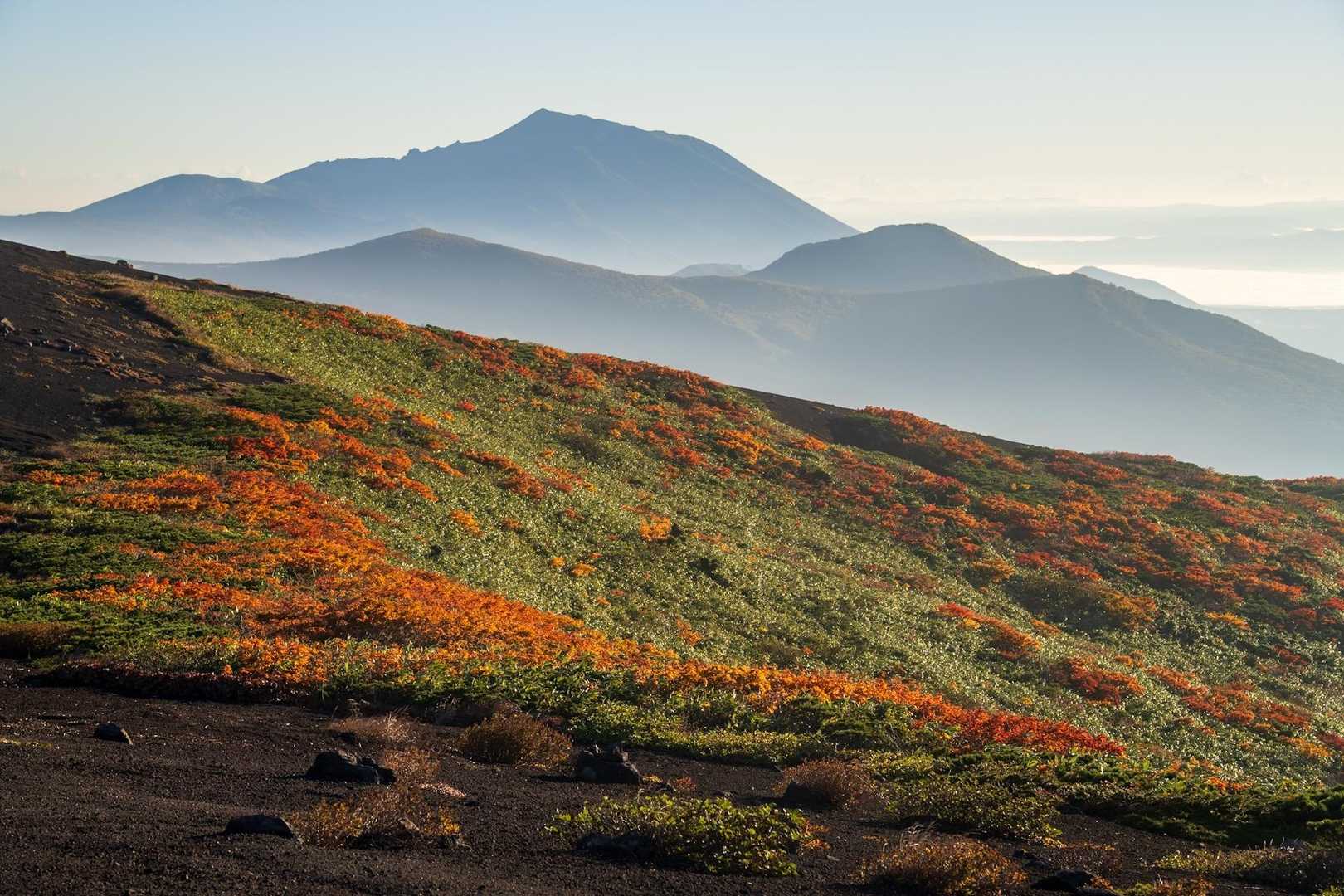 秋田駒ケ岳八合目登山口-横岳-駒池 周回コースの写真