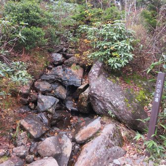 水場あります