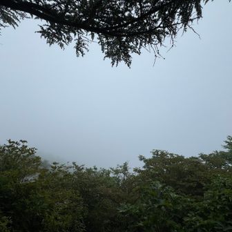 途中にある眺望スポット（多分😅）