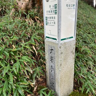 強烈な急登を登って奥駆道に合流