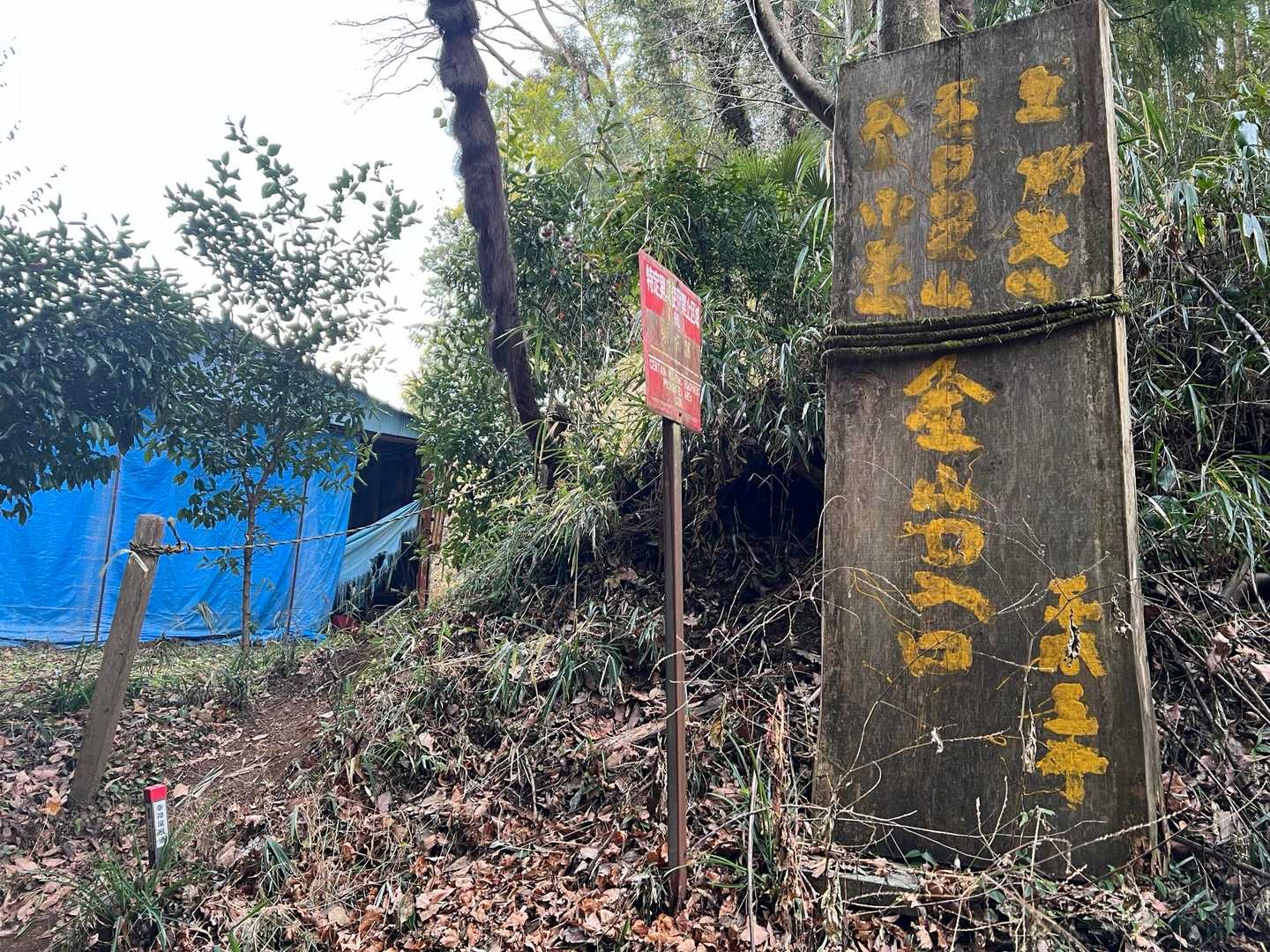 ここが登山口です。
