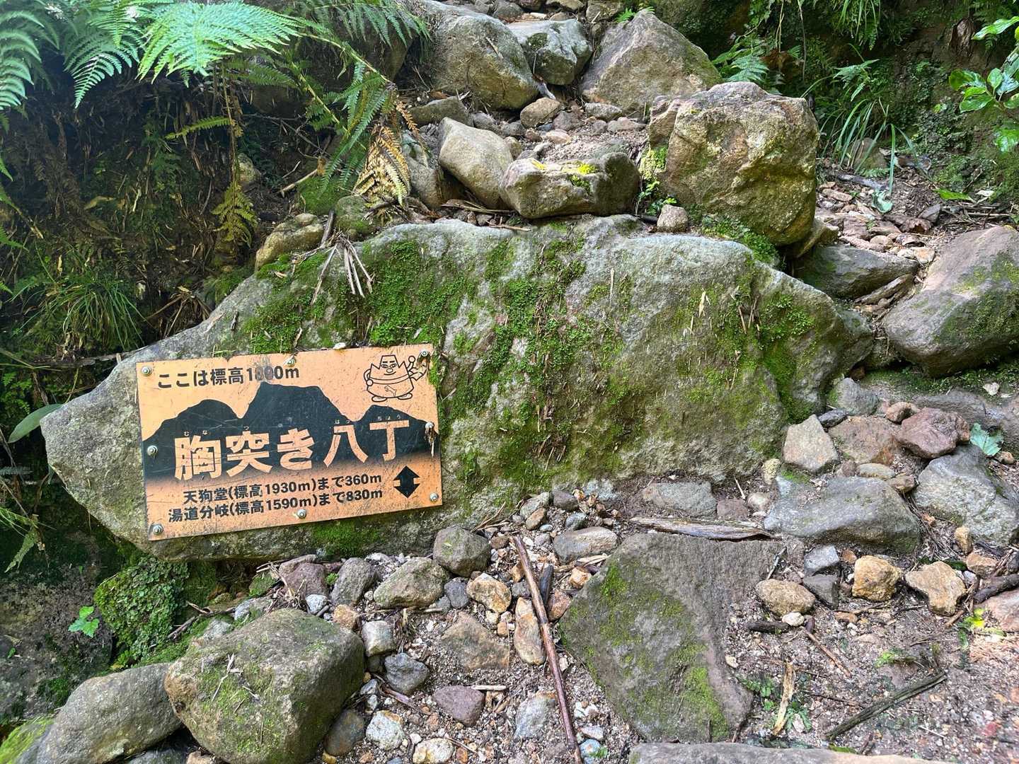 胸突き八丁