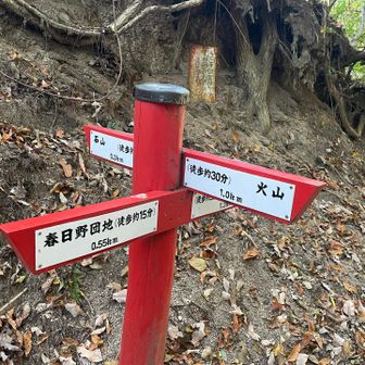 権現峠。
縦走ルートを外れ春日野団地へ下山。
徒歩約15分。