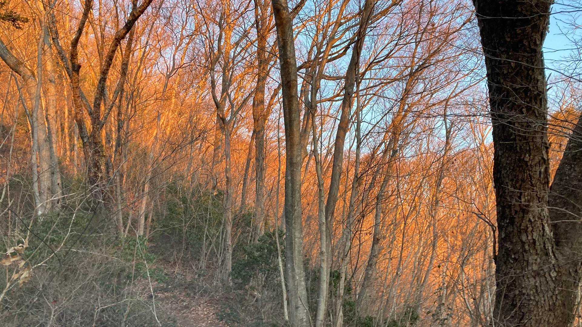 もうすぐ日の出☀️