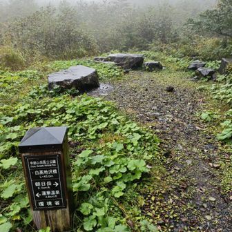 橋を渡った場所に座れる石あり