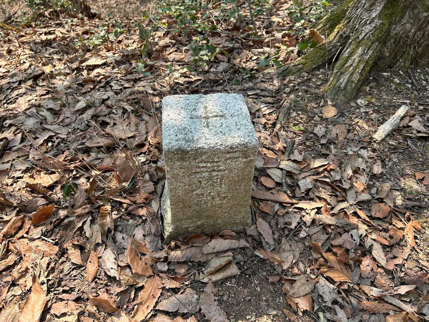 三角点△ありました