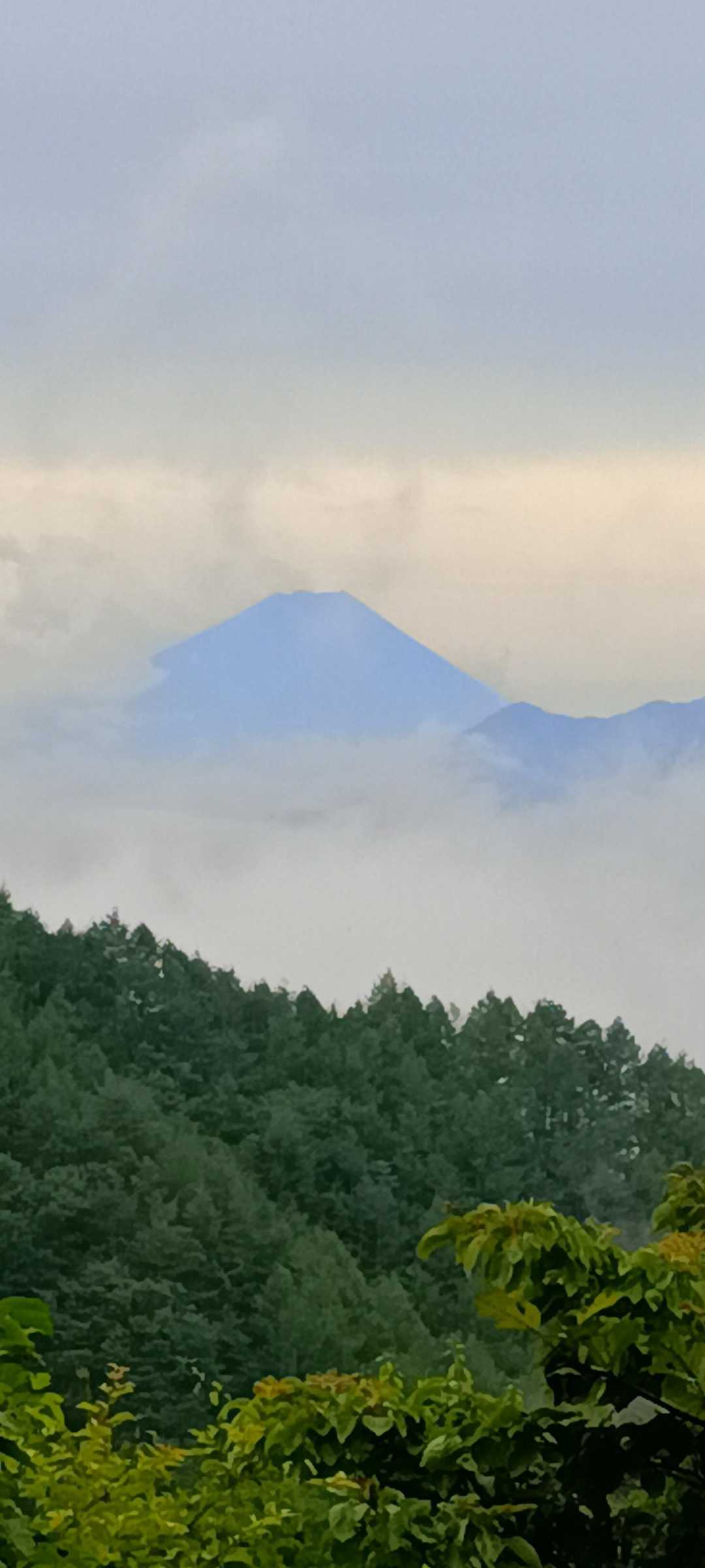飯盛山 往復コースの写真