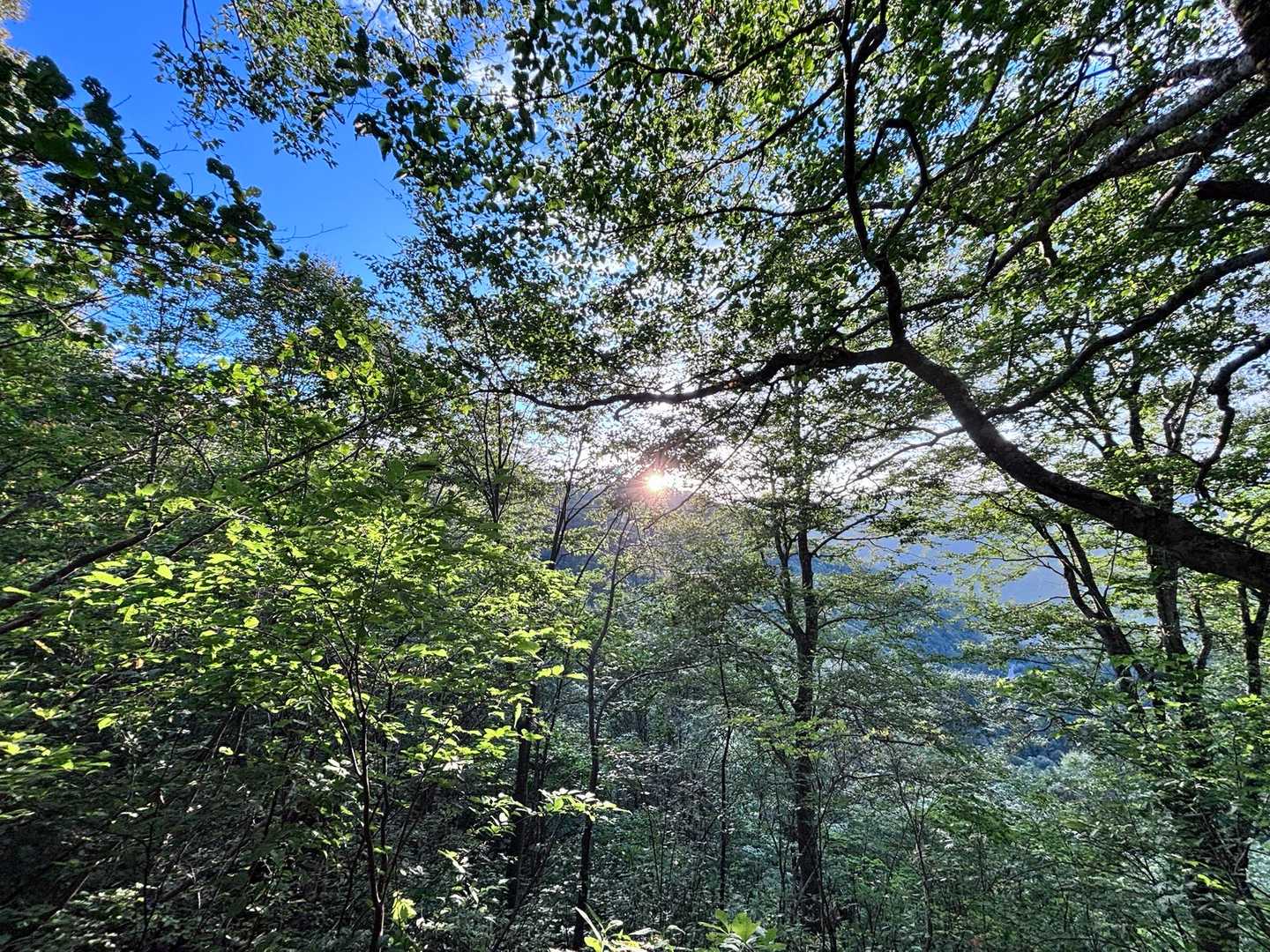お日様顔出す☀️
気持ちいい✨✨✨
