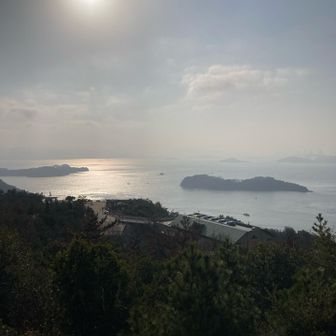 海🌊が眩しいです。