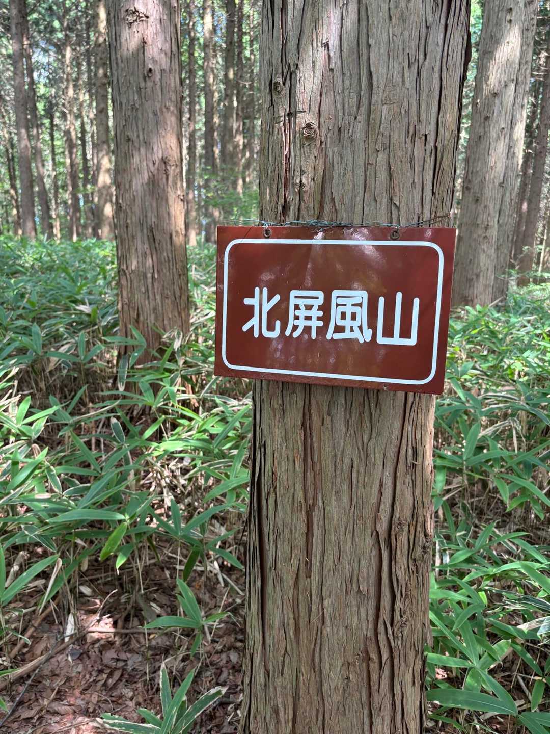 すぐに北屏風山。