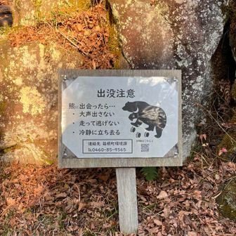 熊に出会ったら‥