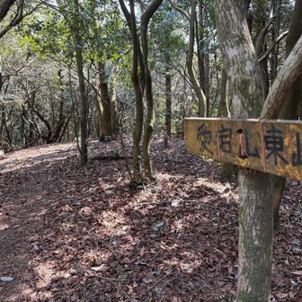 ここも山頂です