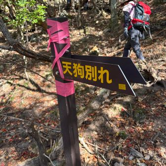 山頂までもう少し