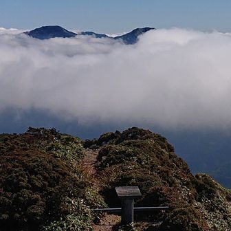 雲海の上に頭を出しているのは？
剣山ではないと思うのですが……