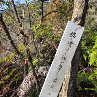 日頃の行いは、我に返ってくるってことね💡