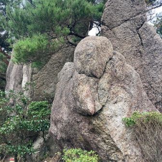 うす岩ときね岩