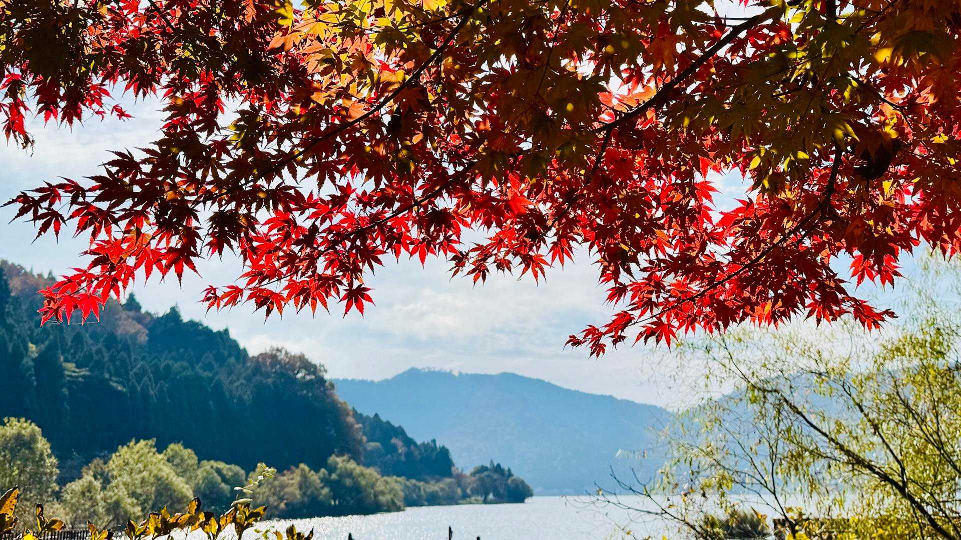 【フラット登山】滋賀・賤ヶ岳と余呉湖の写真