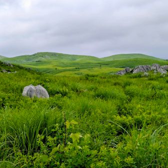 登ってきた地獄台と冠山を
振り返る