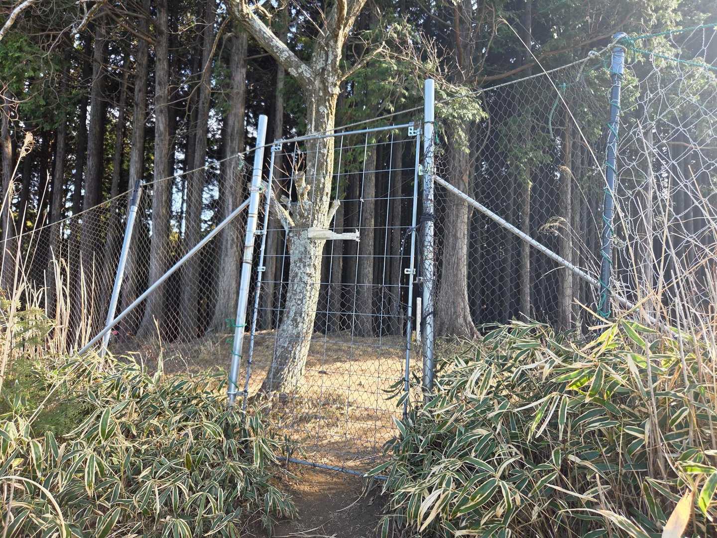 獣避柵が多い😅
ここまで3つあった。