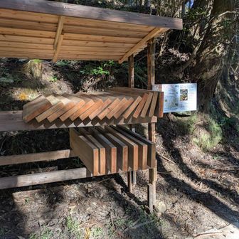 これが下の資材置き場です。遠足尾根の登り口にあります。