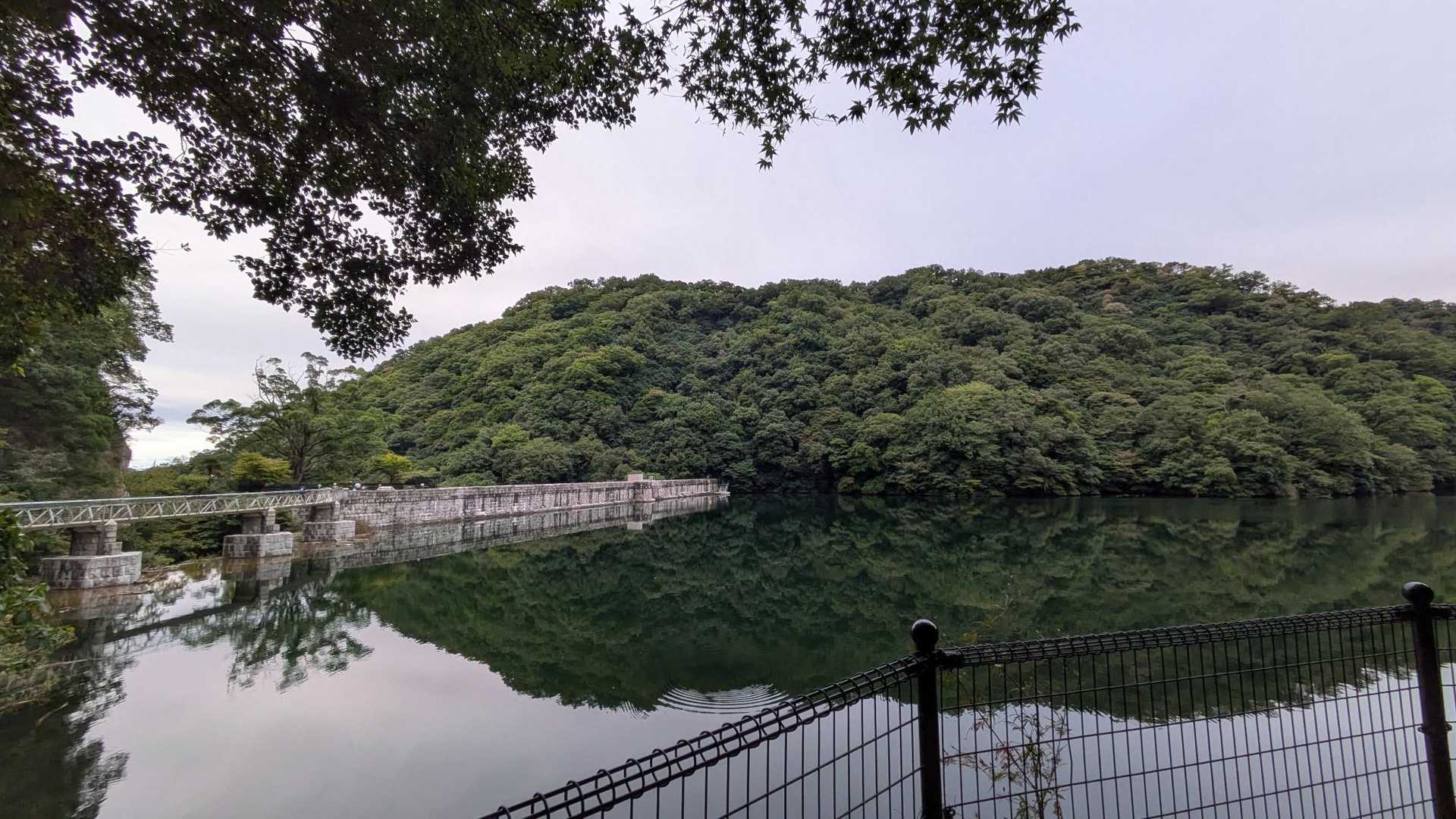 水量良し！