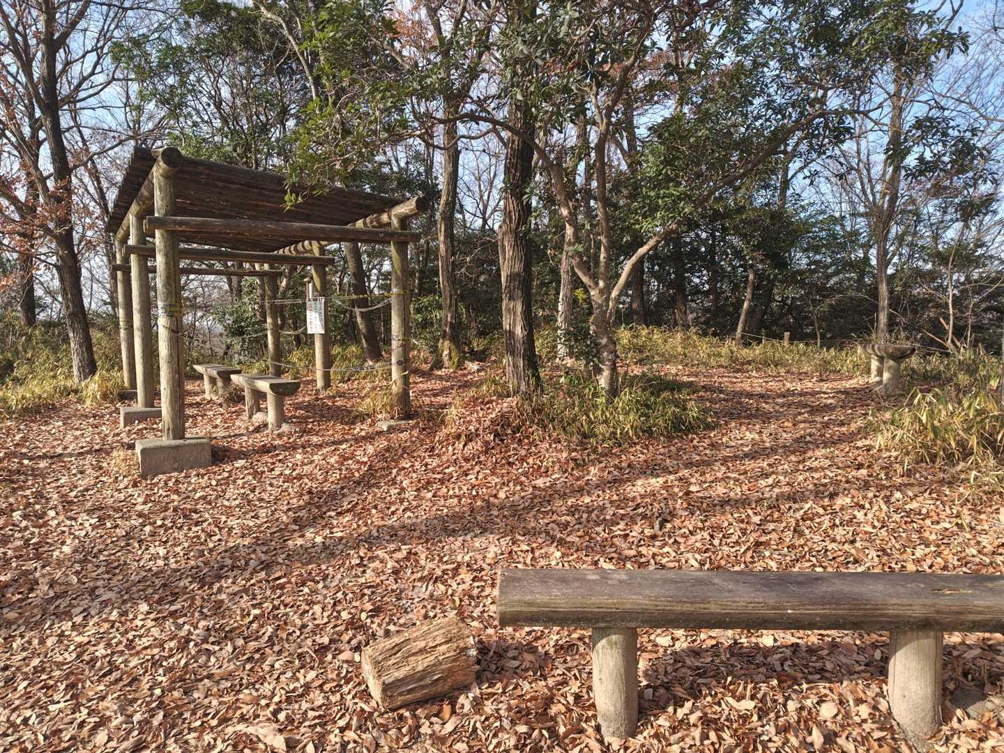 ここなら孫を連れて登れそう