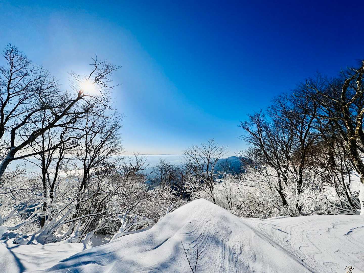 
樹氷っぽい
ほぼ雪やと…

