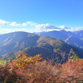 景色もいい感じでした