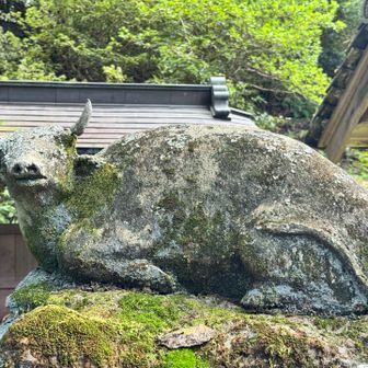 虚空蔵尊の狛牛🐃
この顔にいつも癒される🙂

この寺に祀られているのはもちろん虚空蔵菩薩（こくうぞうぼさつ）。
虚空（無限の空間）のように広大無辺な智慧と慈悲を収めた蔵を持つ仏様です。