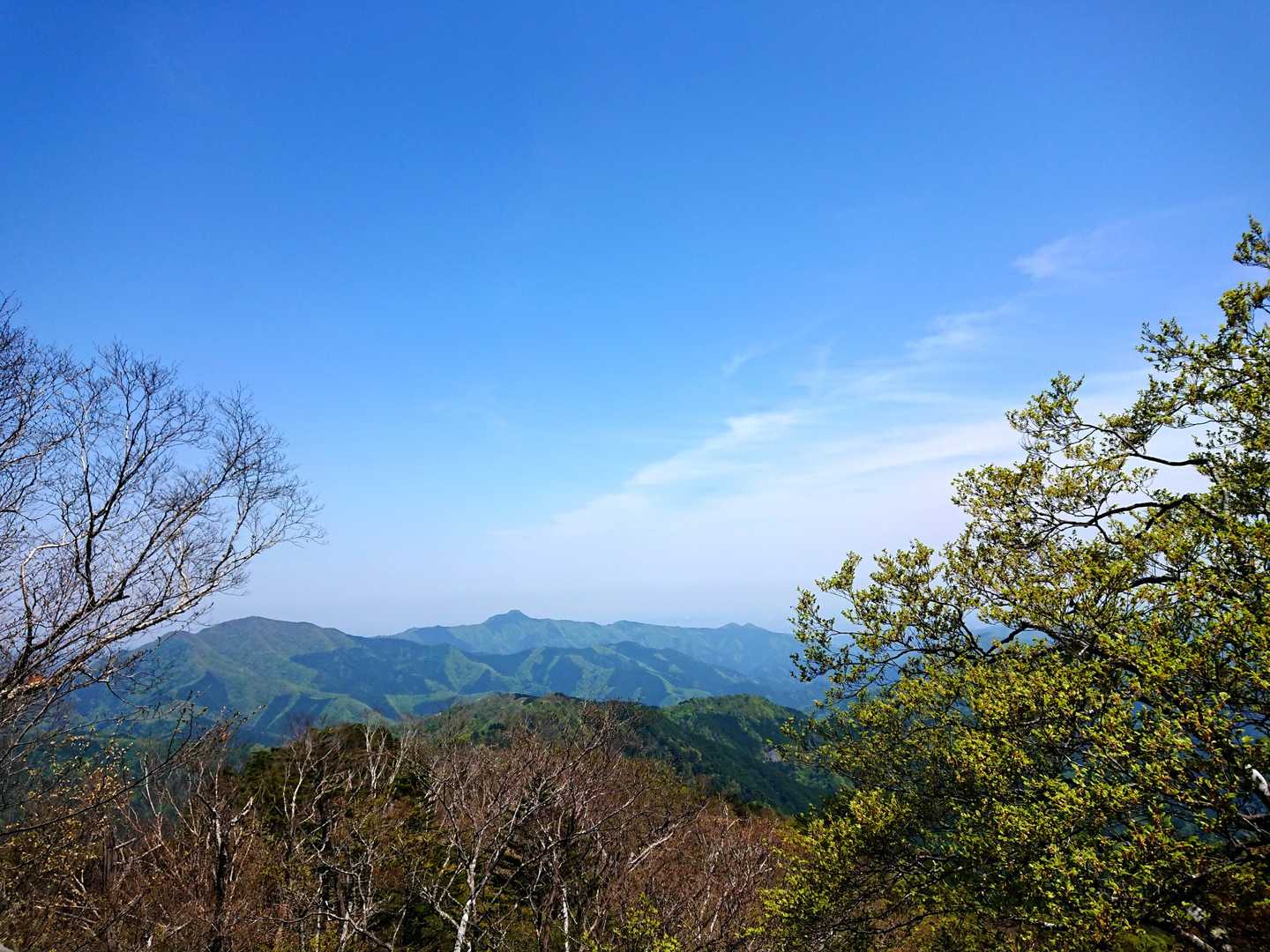 左に御前山、中央に大岳山、右に馬頭刈山。賑わってるかな～😊