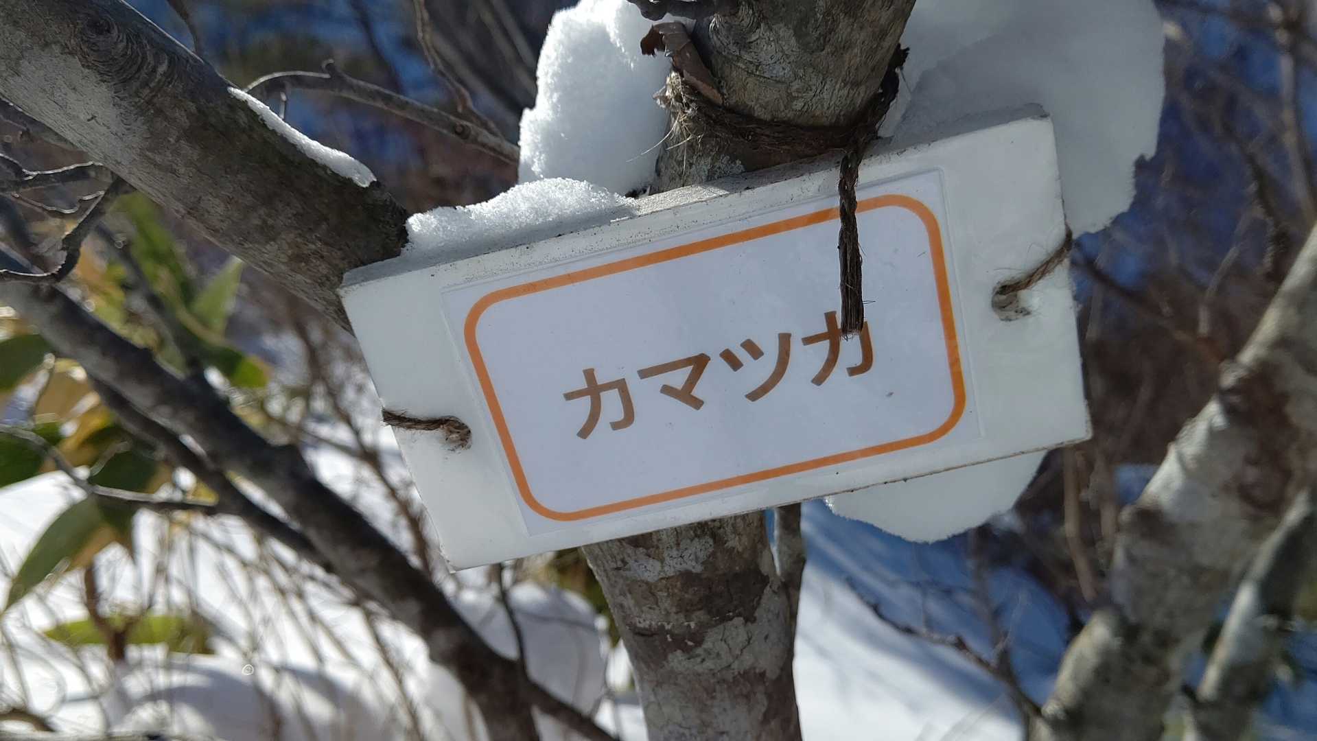 胡桃ヶ岳登山口-胡桃ヶ岳-胡桃ヶ岳登山口 周回コースの写真