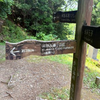 ここが中辺路と小辺路の分岐点、左に行くと高野山に78kmです💦　私らなら何日かかるかな…