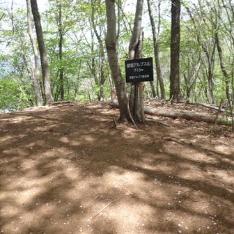 2座目　都留アルプス山713m