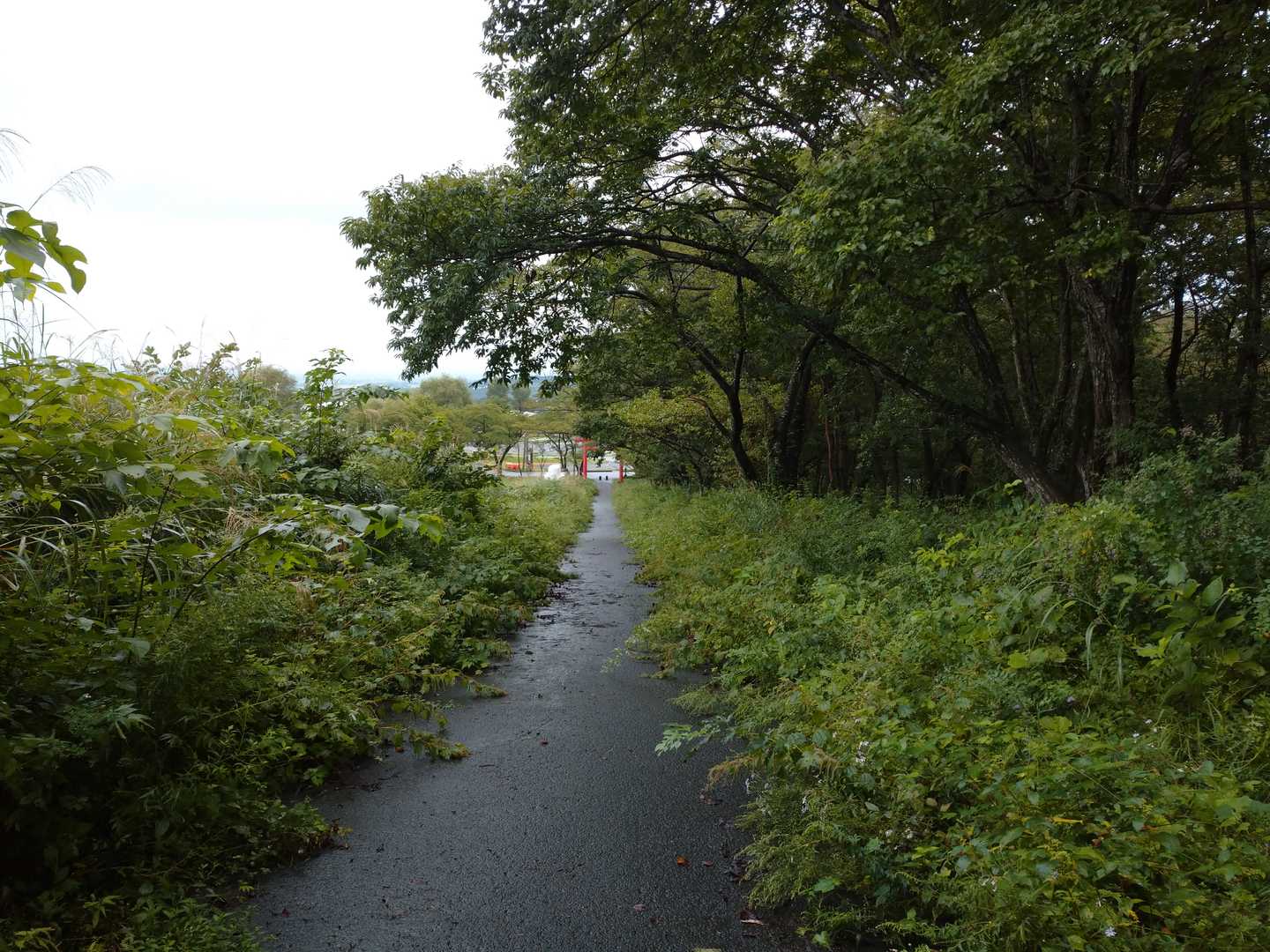 この舗装濡れると滑る。まだ降ってない。