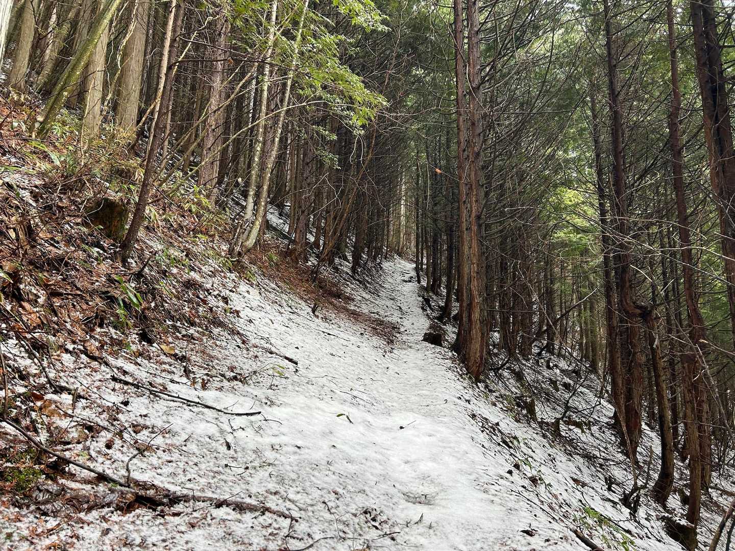 金松寺山登山口-金松寺山-天狗岩 往復コースの写真