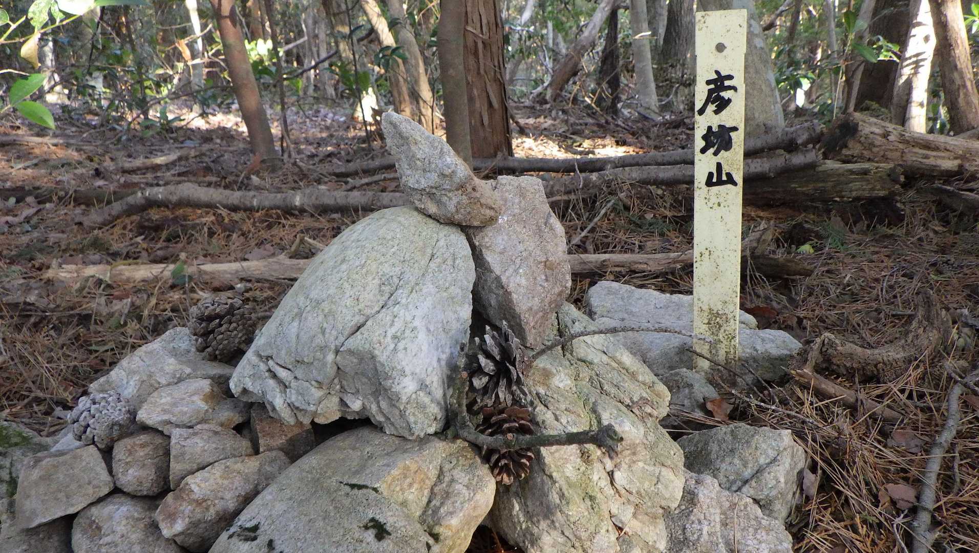彦坊山 往復コースの写真