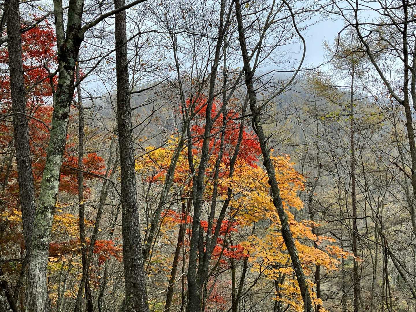 秋🍁
空はイマイチ😓