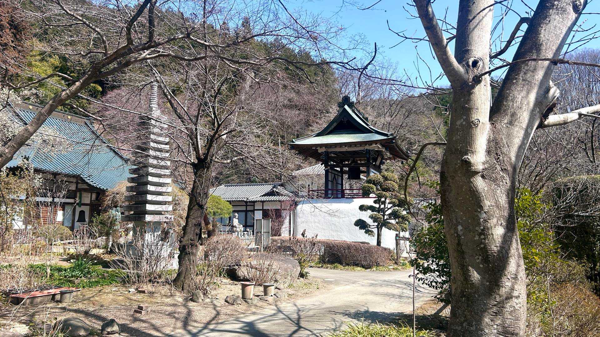 癒しの音がずっと鳴り続けている…