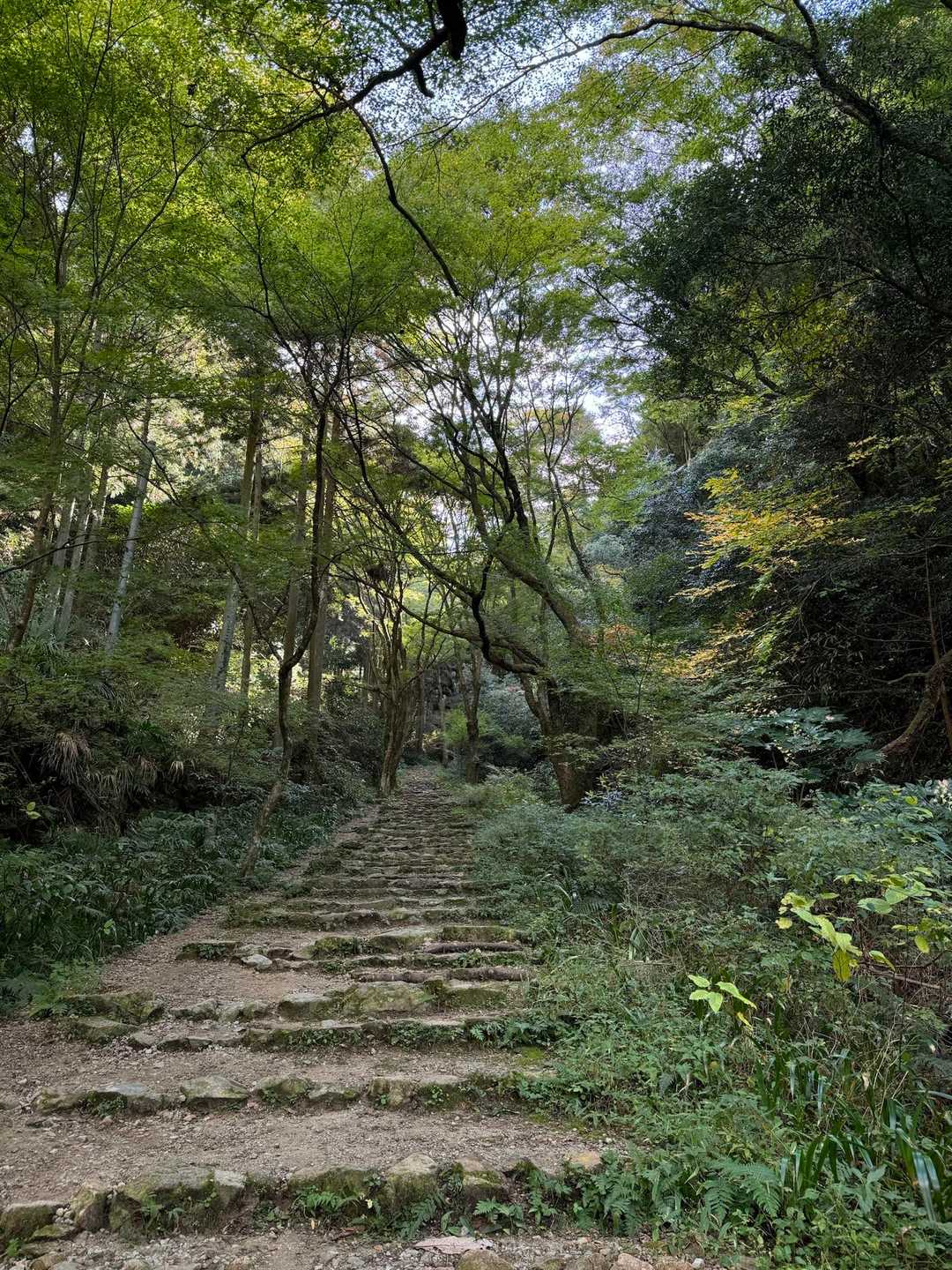 施福寺-槇尾山バス停 周回コースの写真