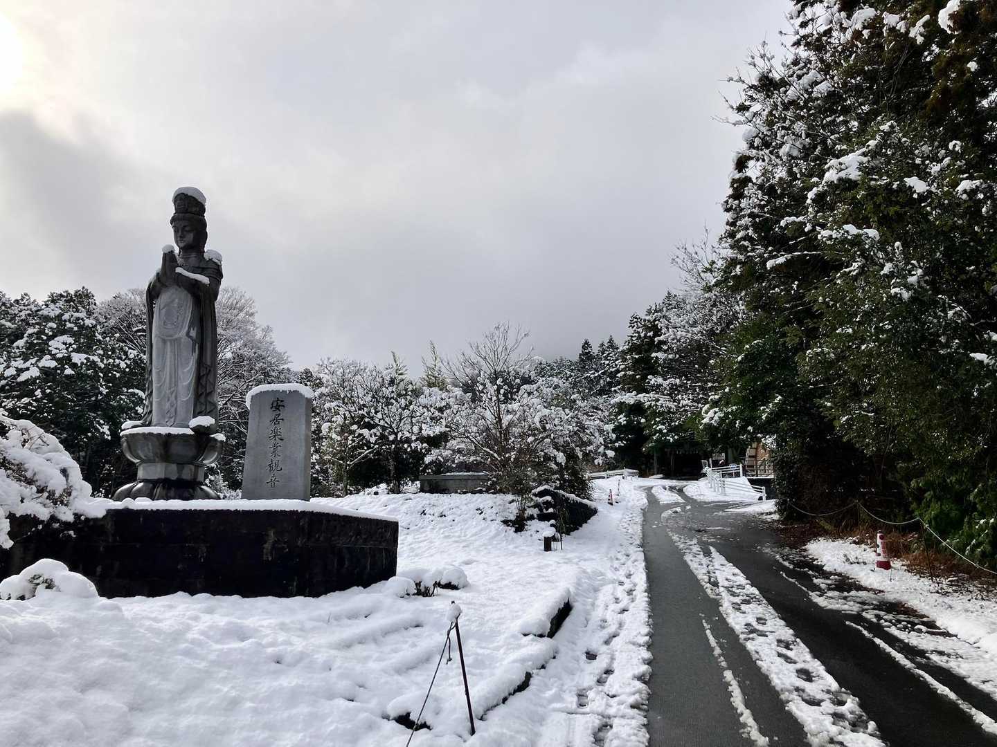 表登山道から入山