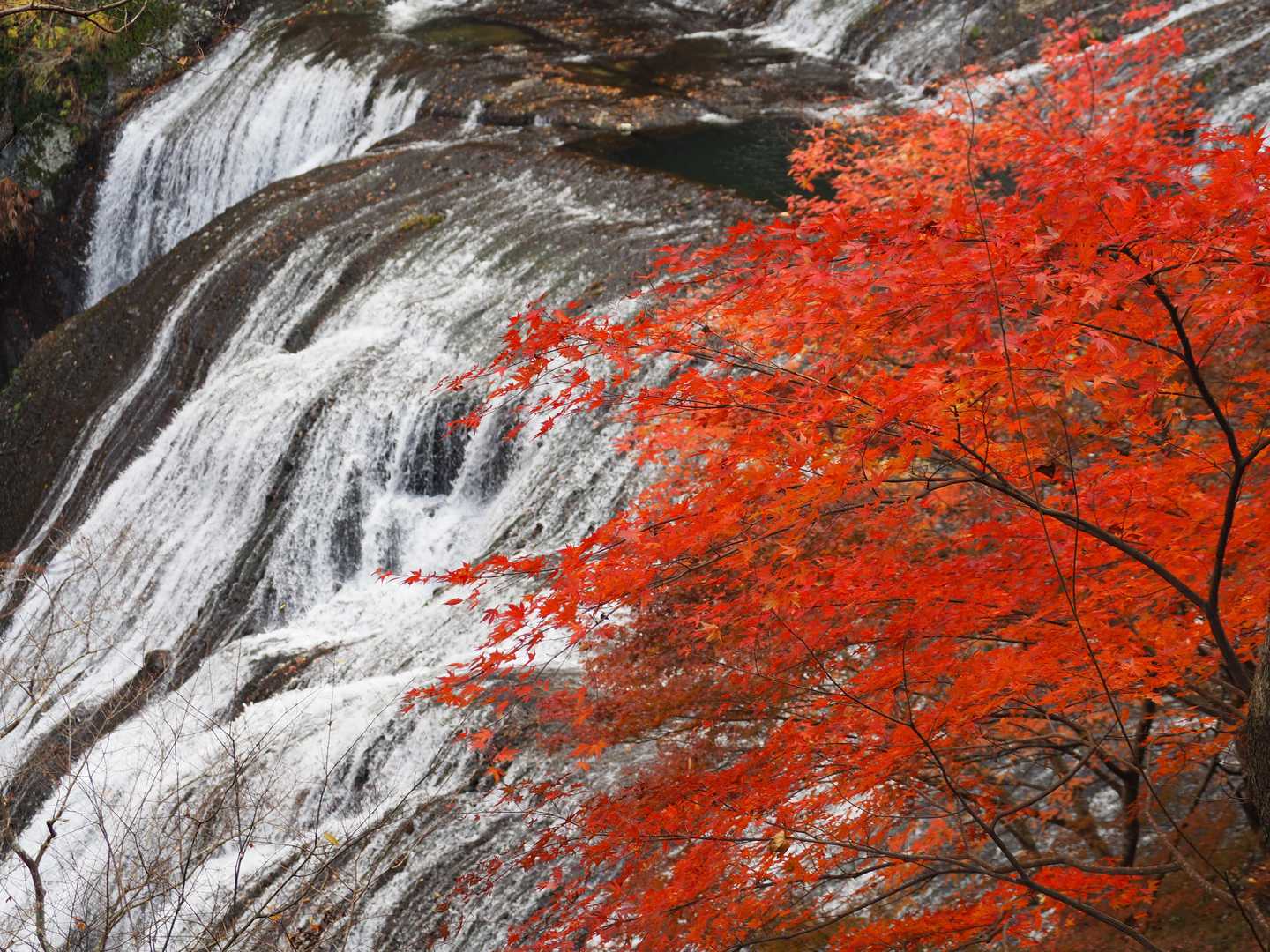 立神山-生瀬滝上-男体山・月居山登山口 縦走コースの写真