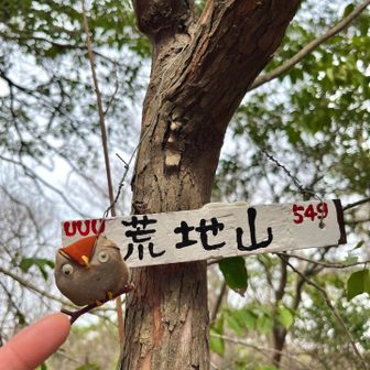 荒地山　こちらのプレートも可愛い🦉✨