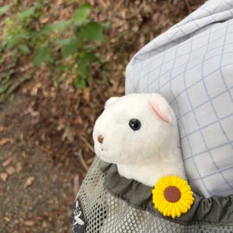 パトさんが今回も付き合ってくれました🥺
ほんとさりげない優しさに大大大感謝な日々✨

この日もココのこのルートを提案してくれたの✨