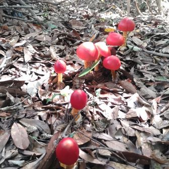 🍄三🍄昧🍄

前習え🥚🍄🥚🍄🥚🍄