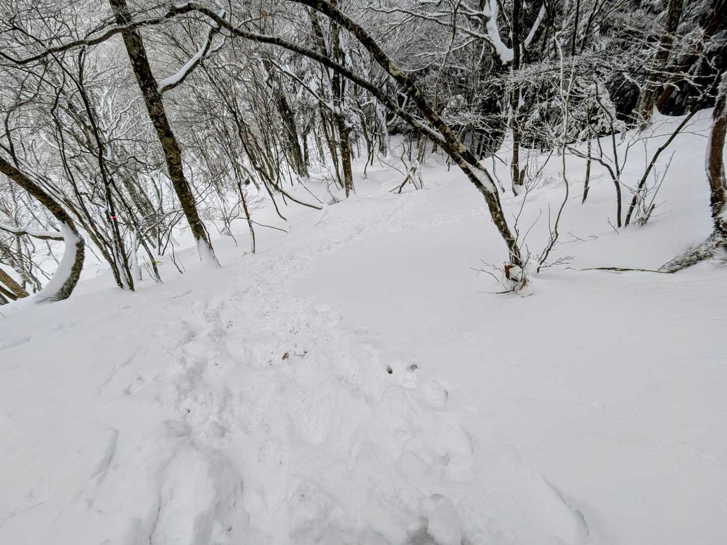 雪の下りはスキー気分😁